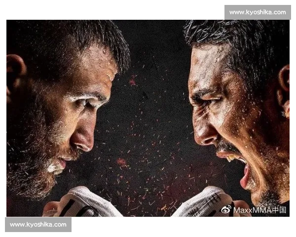 洛马琴科对决萨利多的争议之战与拳坛规则深层反思历史性回顾